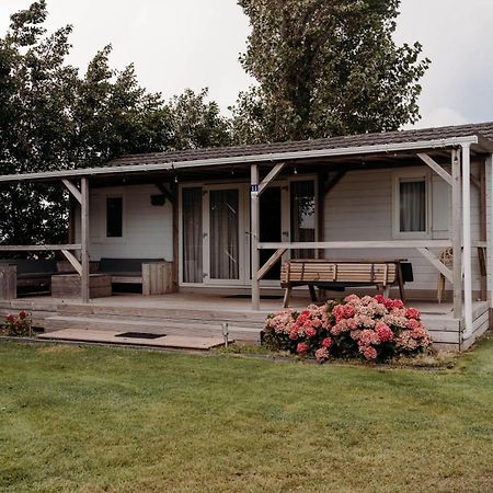 Chalet Tulpenweide - Recreatie Breezand Dış mekan fotoğraf