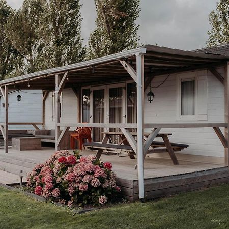 Chalet Tulpenweide - Recreatie Breezand Dış mekan fotoğraf