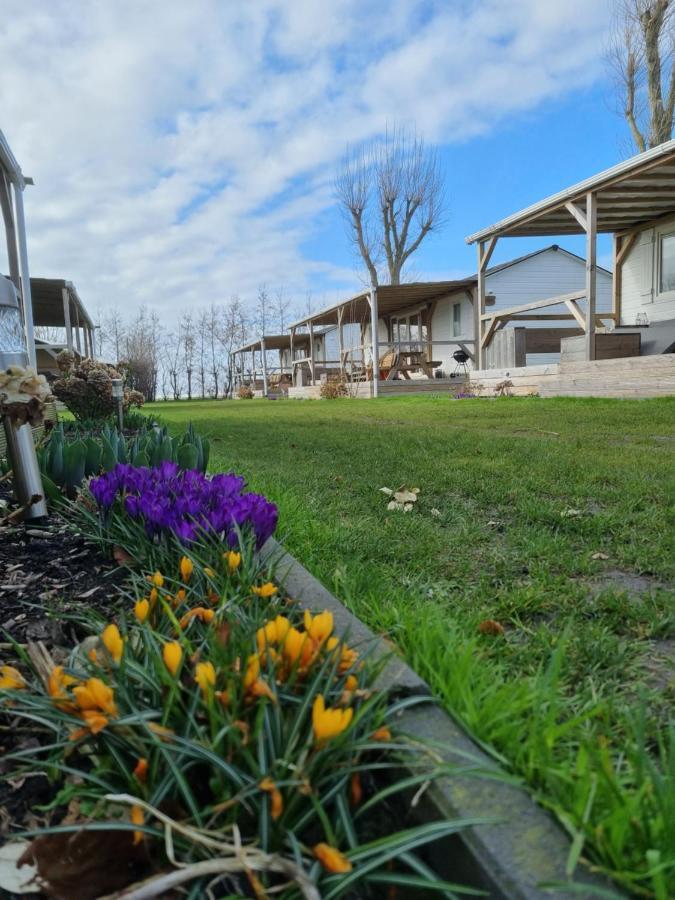 Chalet Tulpenweide - Recreatie Breezand Dış mekan fotoğraf